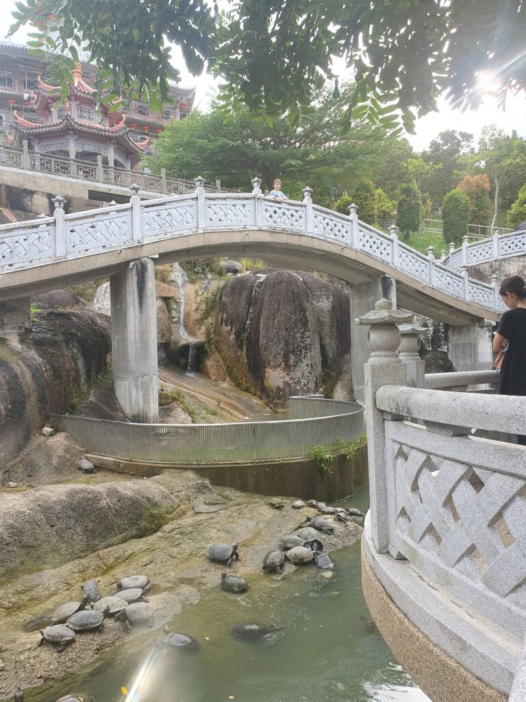 A serene stone bridge at Kek Lok Si Temple in Penang, Malaysia, with a boy standing on the bridge above a pond filled with turtles basking on rocks below. The scene is framed by traditional Chinese architecture, greenery, and sunlight filtering through the trees.
