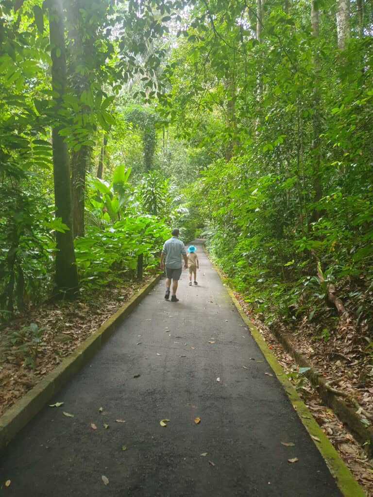 Two people walking down a paved trail through lush green rainforest, surrounded by tall trees and dense vegetation.