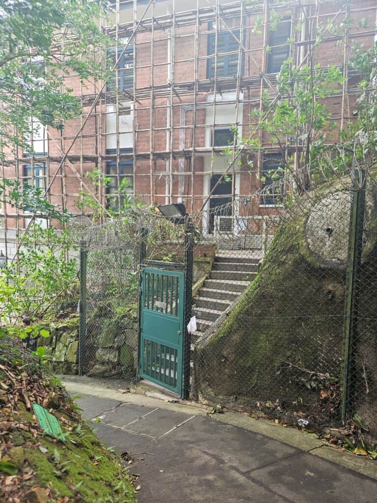 A green gate at the base of a mossy stone staircase, leading to a red-brick building under renovation with bamboo scaffolding, surrounded by fencing and greenery.