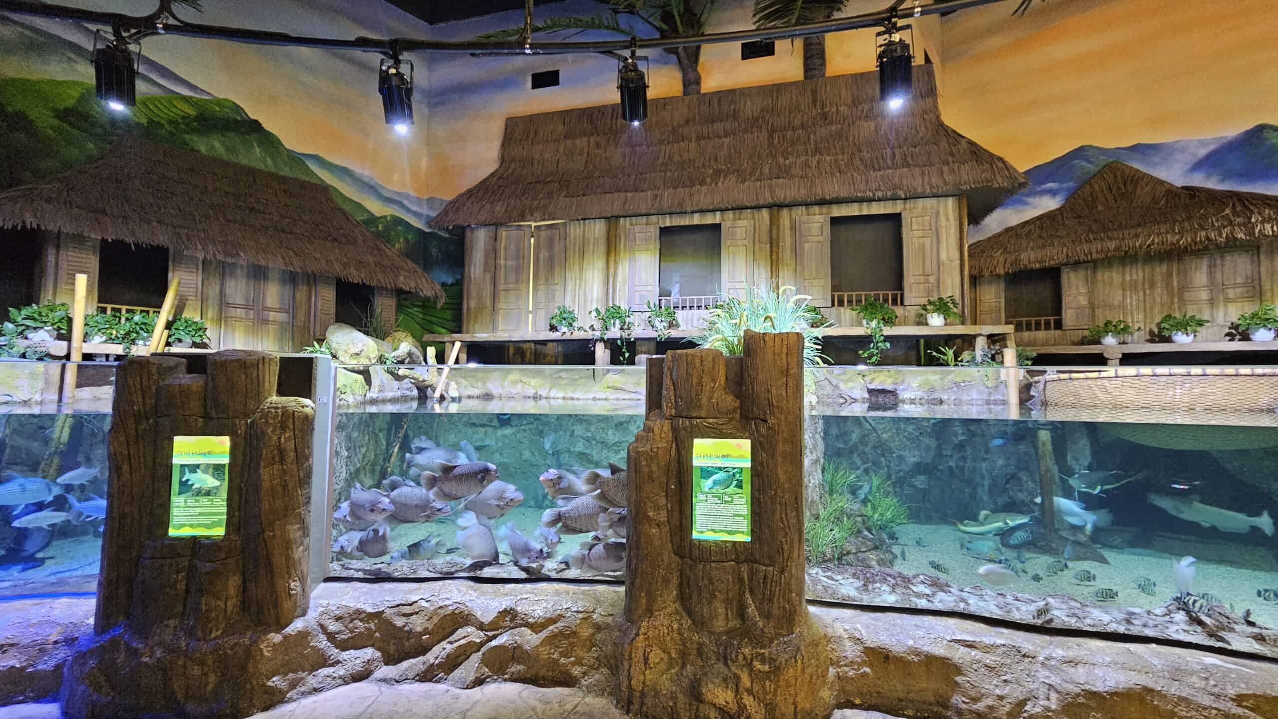 An indoor aquarium exhibit designed to resemble a traditional Vietnamese village, featuring thatched-roof huts, lush plants, and a large fish tank filled with various freshwater species. Informational signs on faux tree trunks provide details about the aquatic life on display.