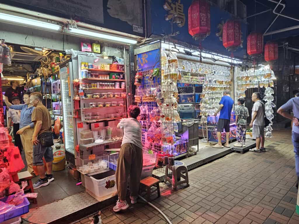 A night view of Kowloon’s Goldfish Market with fish in plastic bags hanging outside brightly lit shops and people browsing tanks of aquatic pets. This quirky and culturally rich shopping area adds to Kowloon’s eclectic charm.