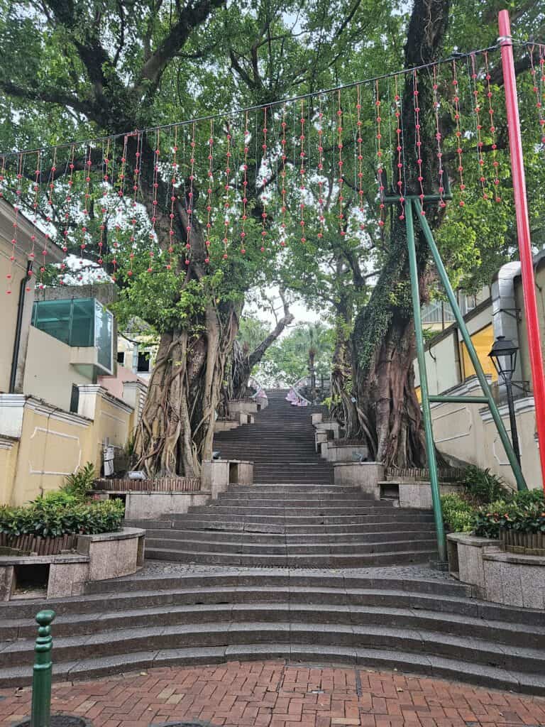 Stone steps in Taipa Village Macau lined with large banyan trees and hanging red string decorations overhead creating a shaded walkway.